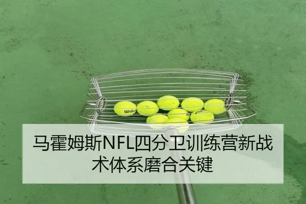 马霍姆斯NFL四分卫训练营新战术体系磨合关键